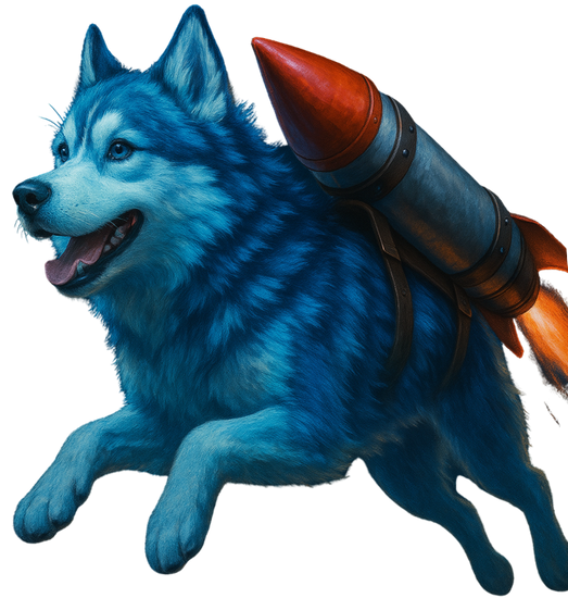Amrocket Team